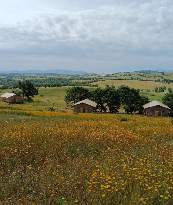 Photo of Others in Magliano in Toscana