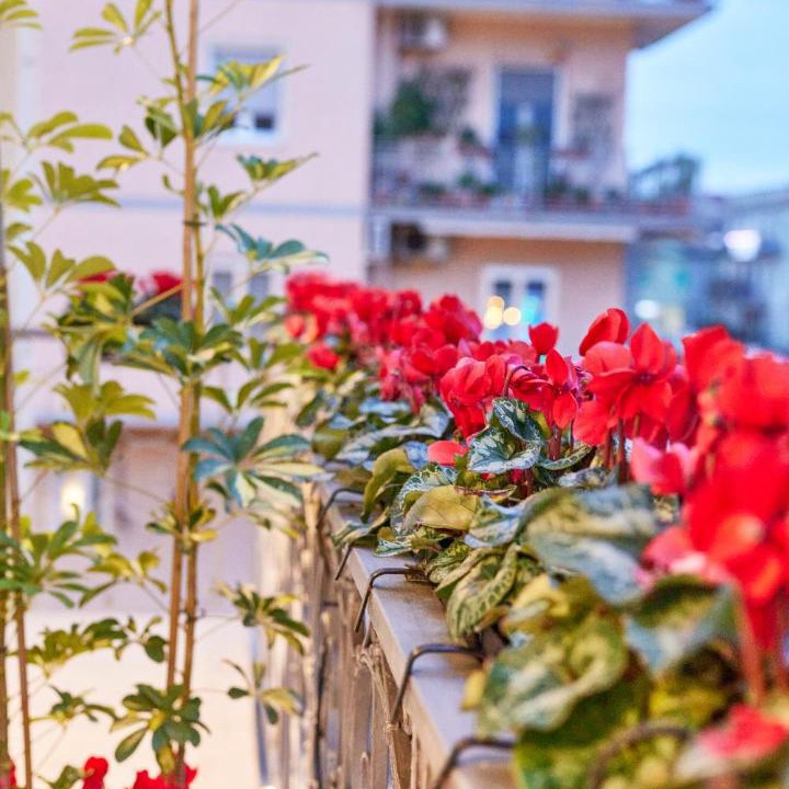 Photo of Others in Salerno