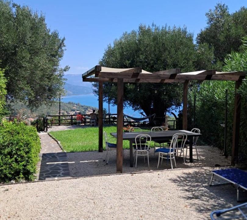 Photo of Others in Scario