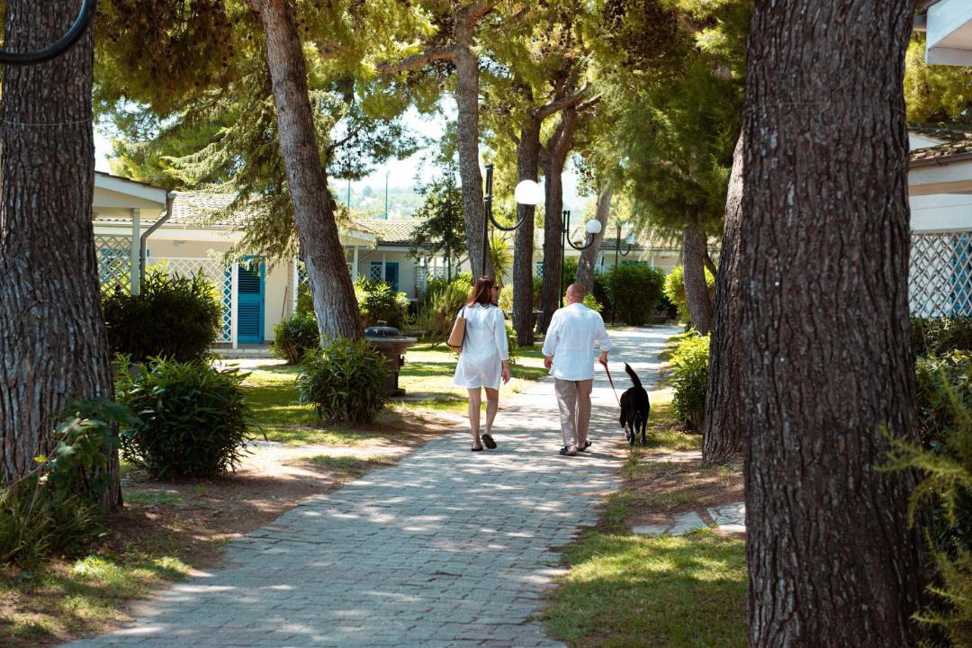 Photo of Others in Montincello