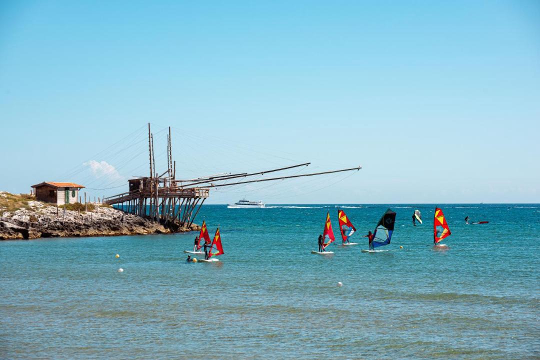 Photo of Others in Defensola