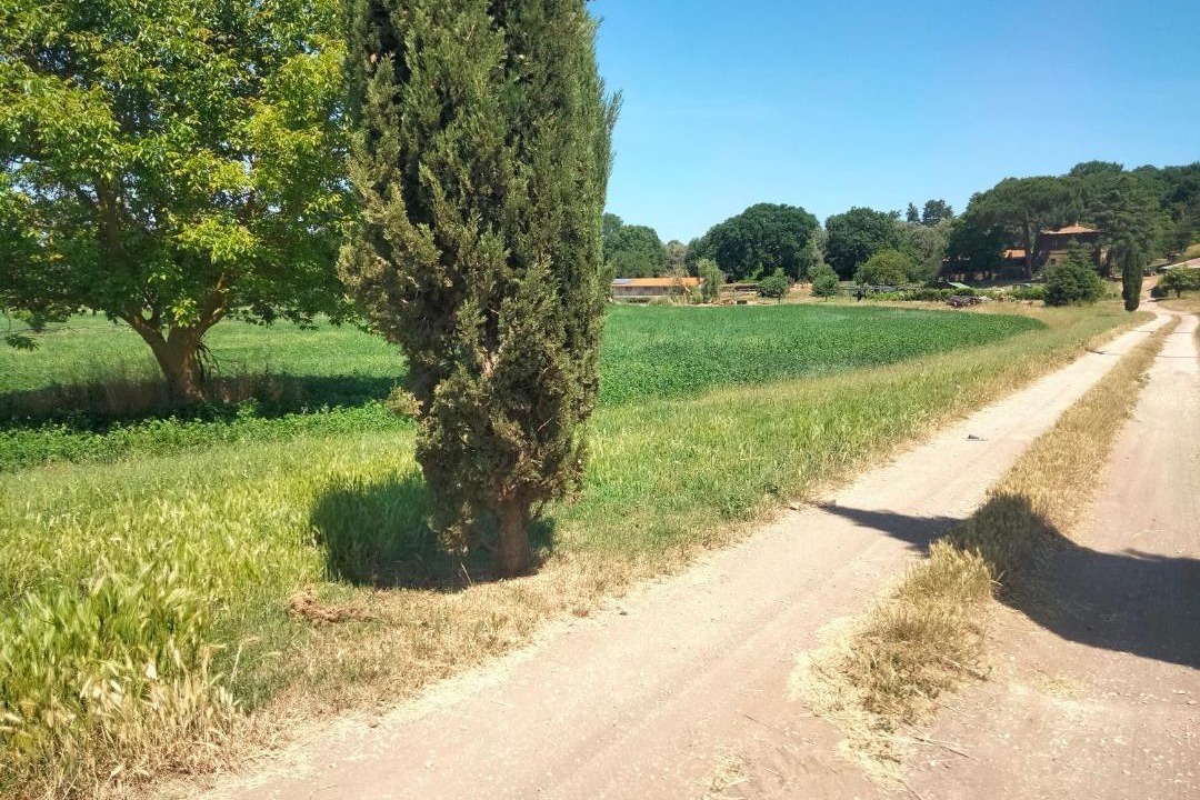 Photo of Others in Capranica