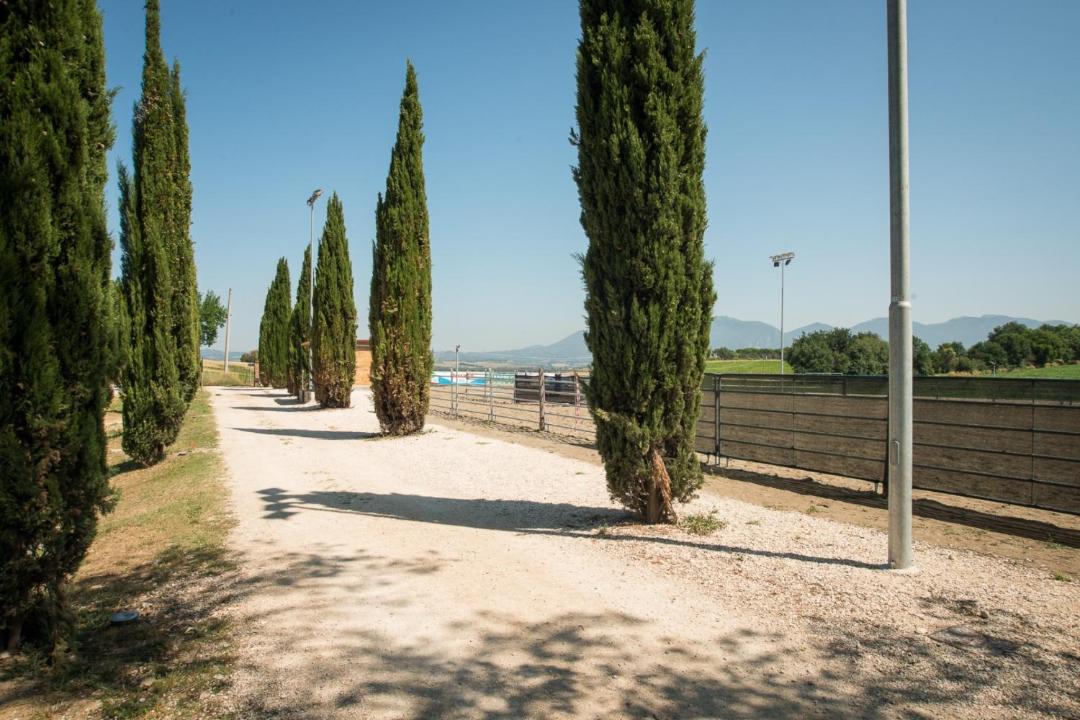 Photo of Others in Narni