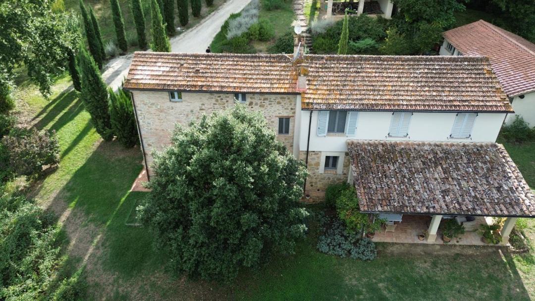 Photo of Others in Monte Vibiano Vecchio