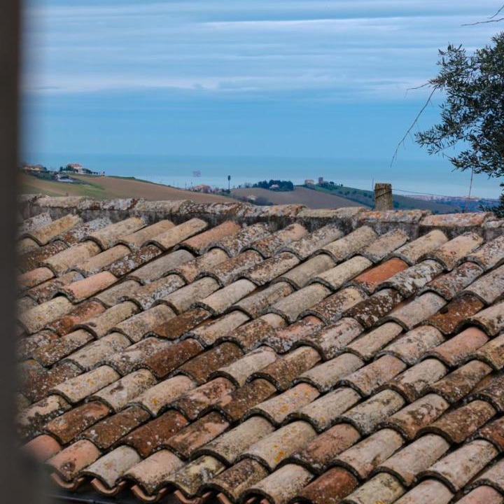 Photo of Others in Fermo