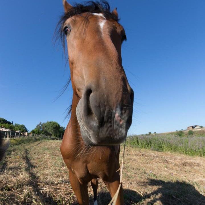 Photo of Others in Tuscania