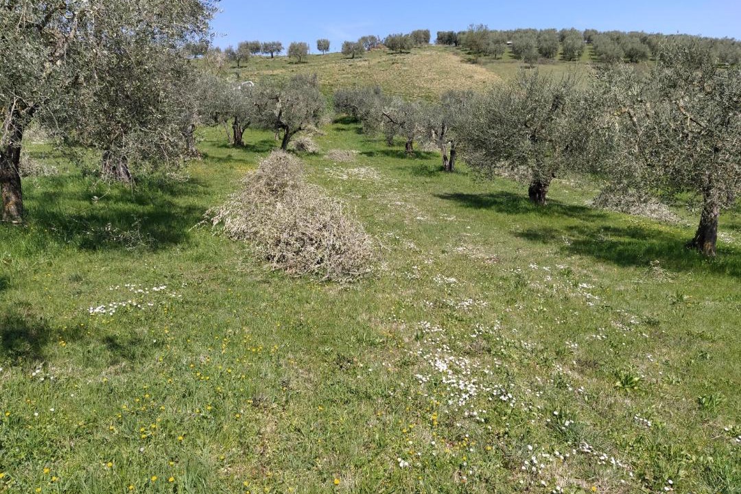 Photo of Others in Ariano Irpino