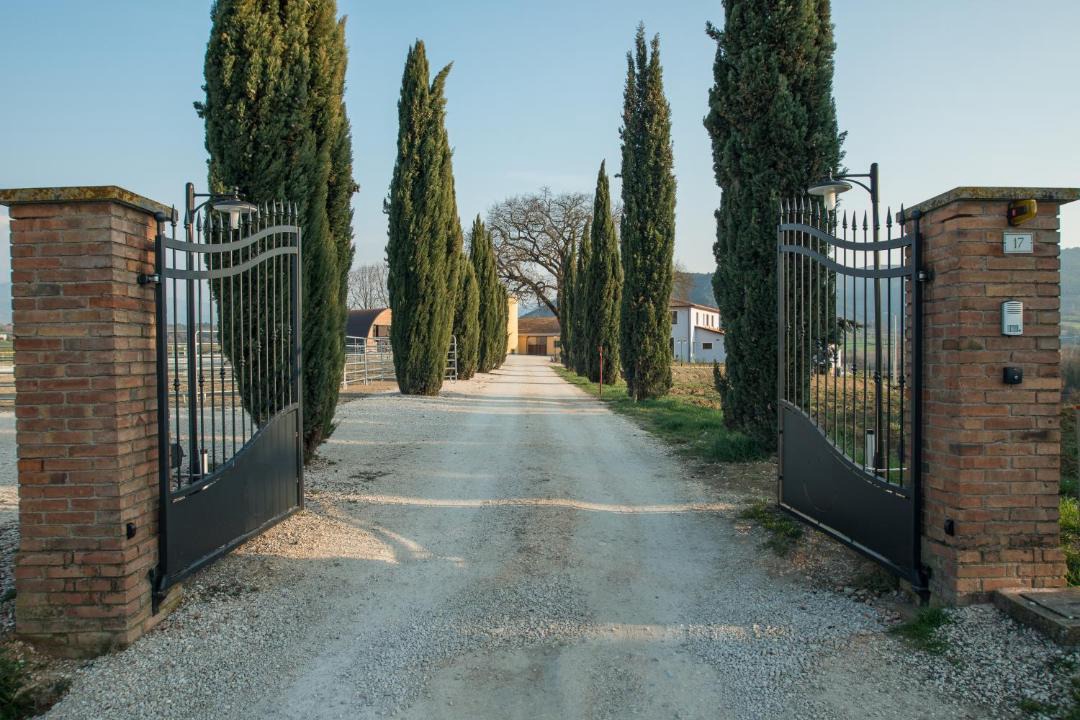 Photo of Others in Narni