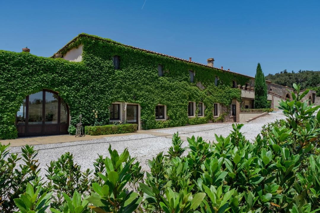 Photo of Others in Castellina Marittima