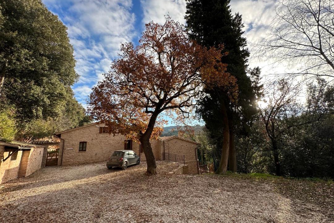 Photo of Others in Spello
