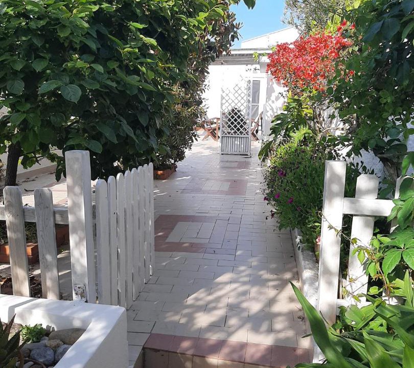 Photo of Others in Ponza