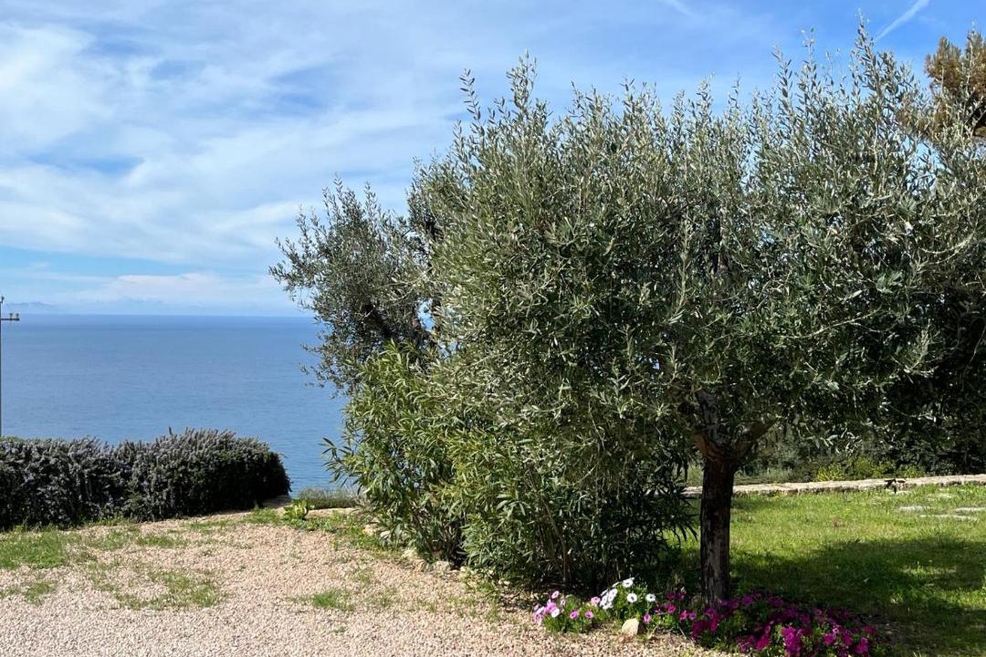 Photo of Others in Cala Piccola