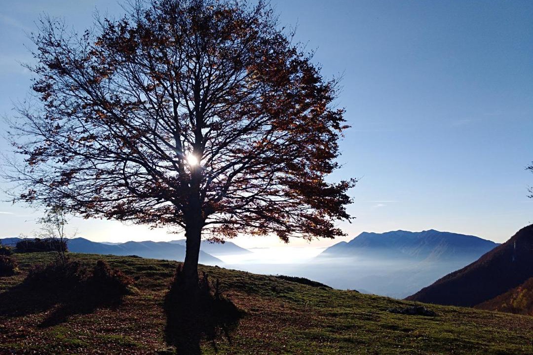 Photo of Others in Civitella Roveto