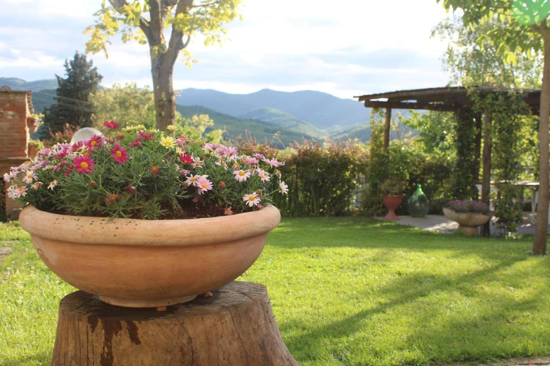 Photo of Others in Anghiari