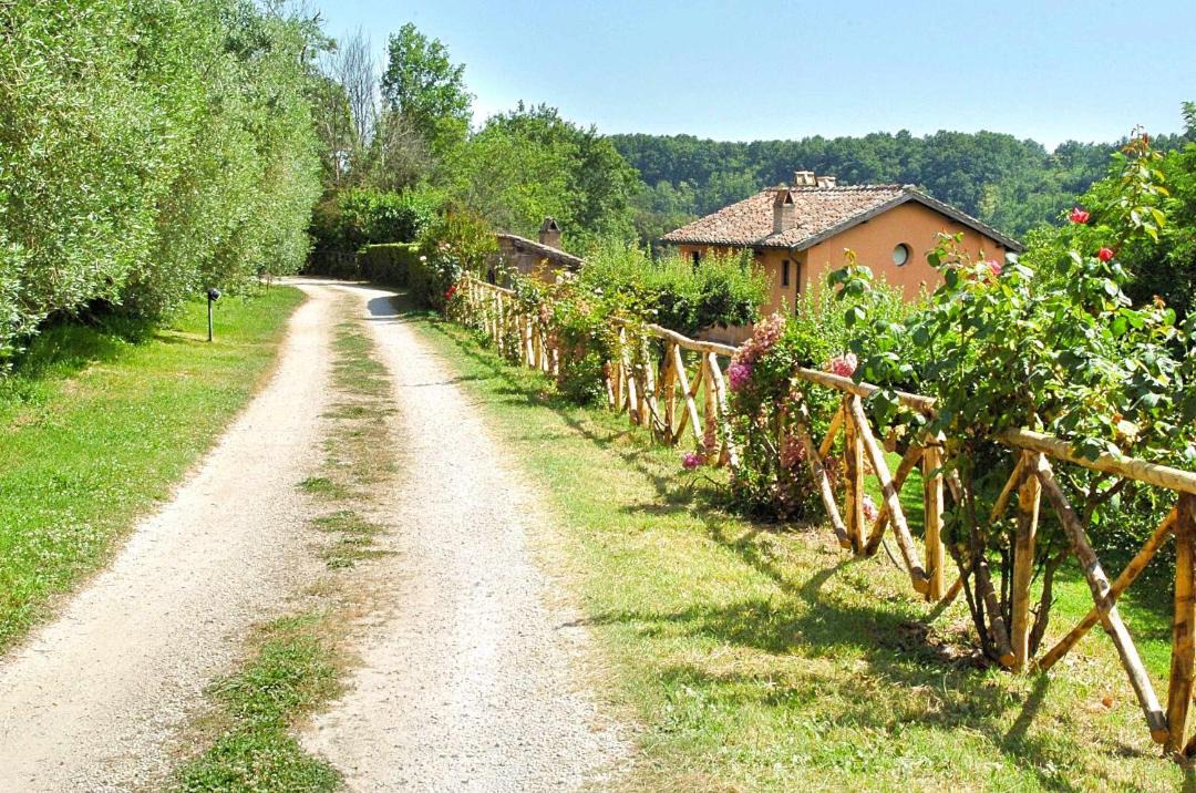 Photo of Others in Capranica