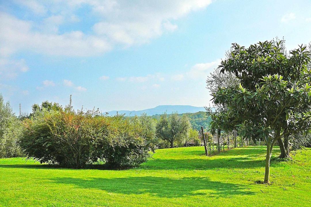 Photo of Others in Capranica