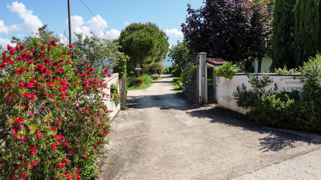 Photo of Others in Arpino