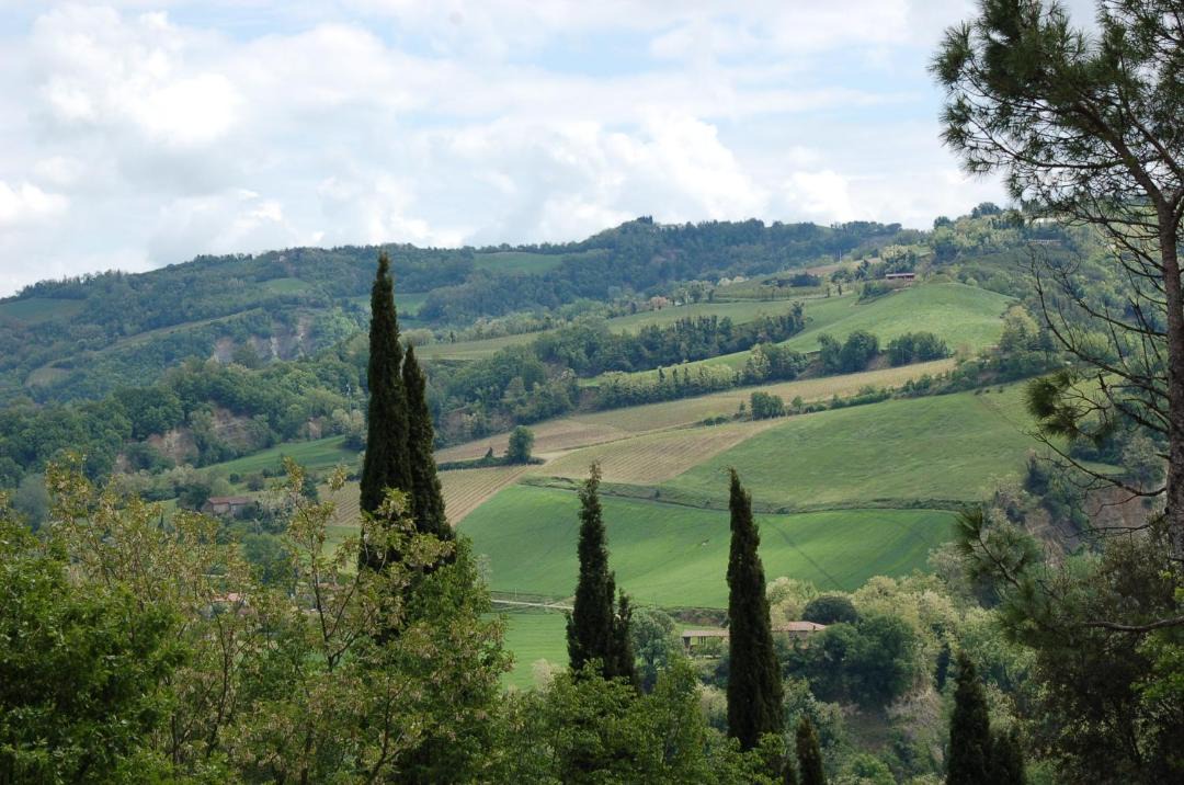 Photo of Others in Casola Valsenio