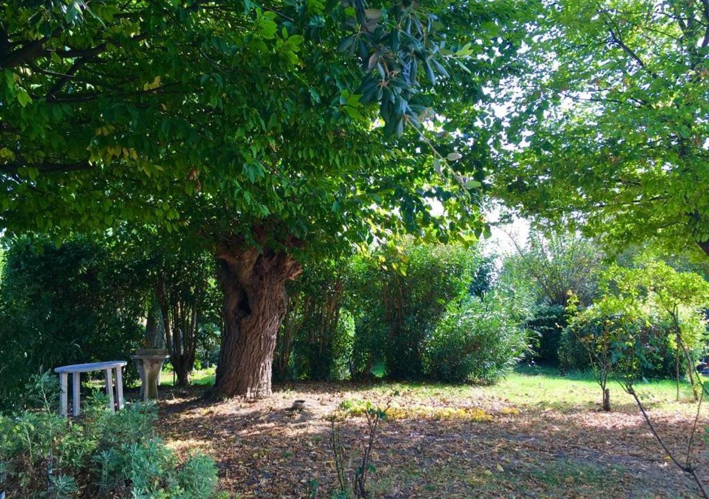Photo of Others in Montemarciano
