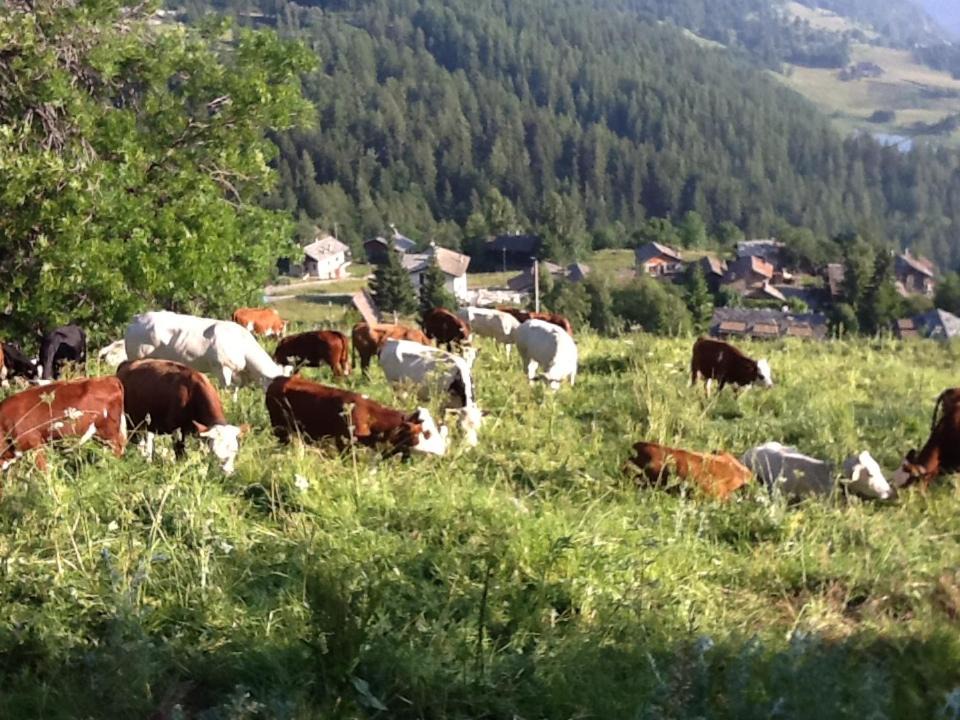 Photo of Others in Artaz Vieu