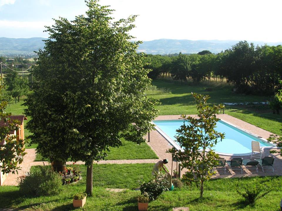 Photo of Others in Rivotorto