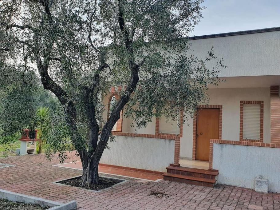 Photo of Others in Montincello