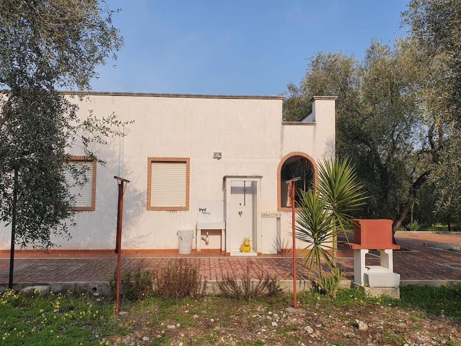 Photo of Others in Montincello