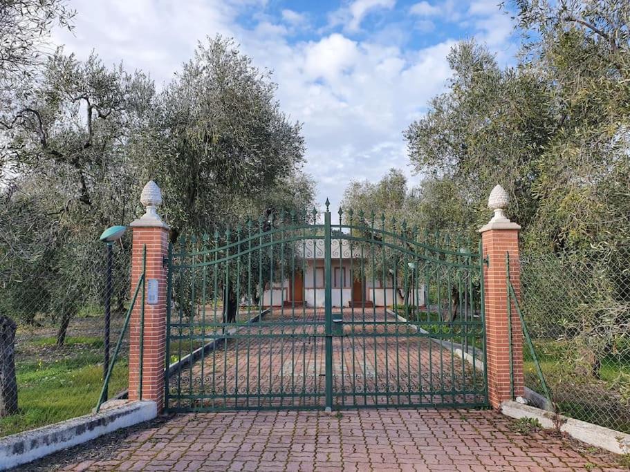 Photo of Others in Montincello