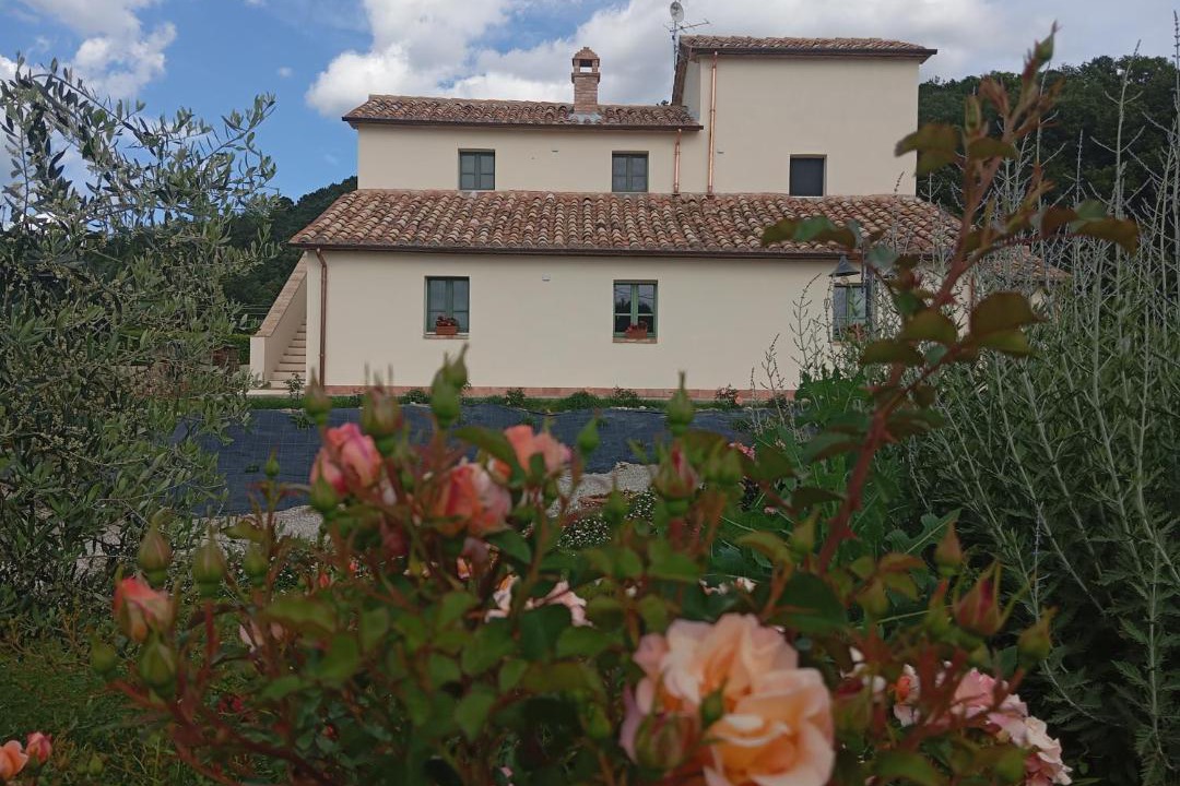 Photo of Others in Citta di Castello