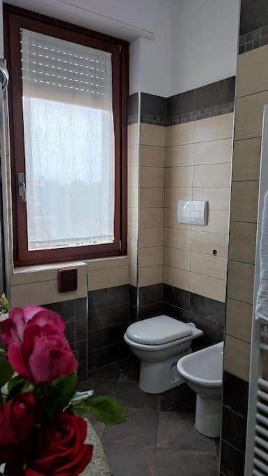 Photo of Others in Abbiategrasso