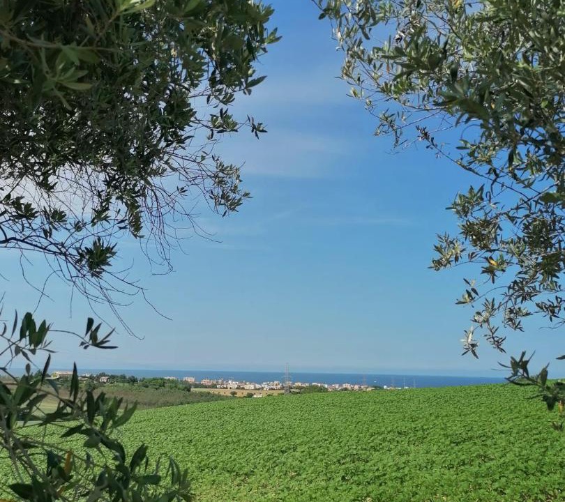 Photo of Others in Senigallia