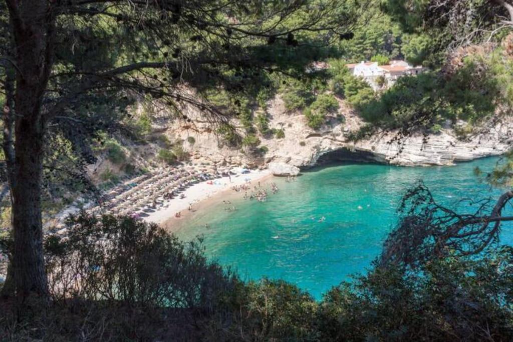 Photo of Others in Pugnochiuso