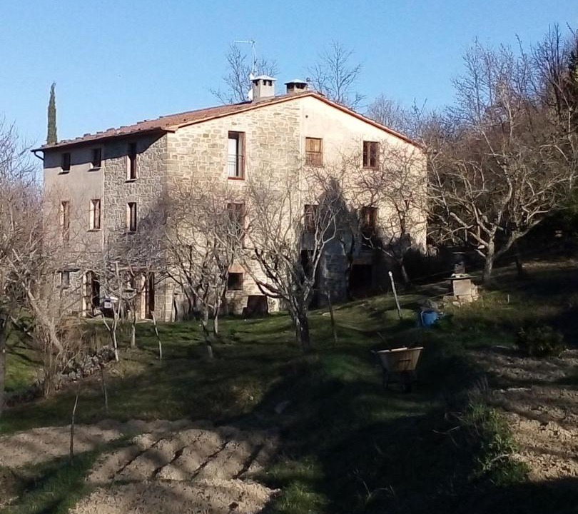 Photo of Others in Nerbisci