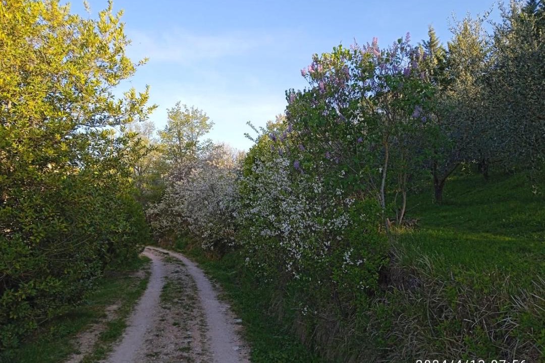 Photo of Others in Nerbisci