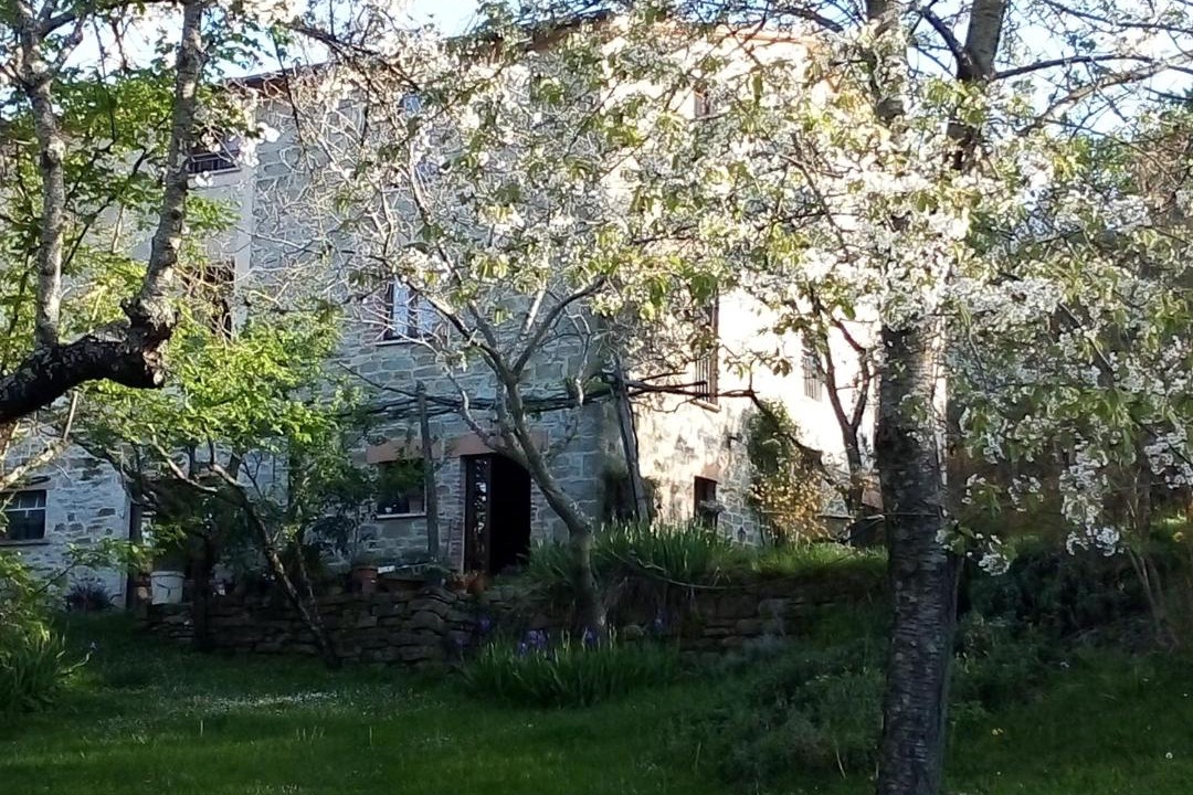 Photo of Others in Nerbisci