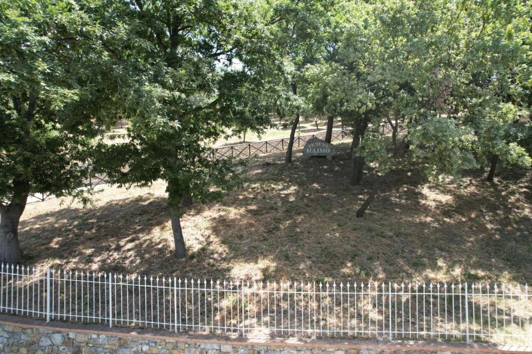 Photo of Others in Altavilla Silentina