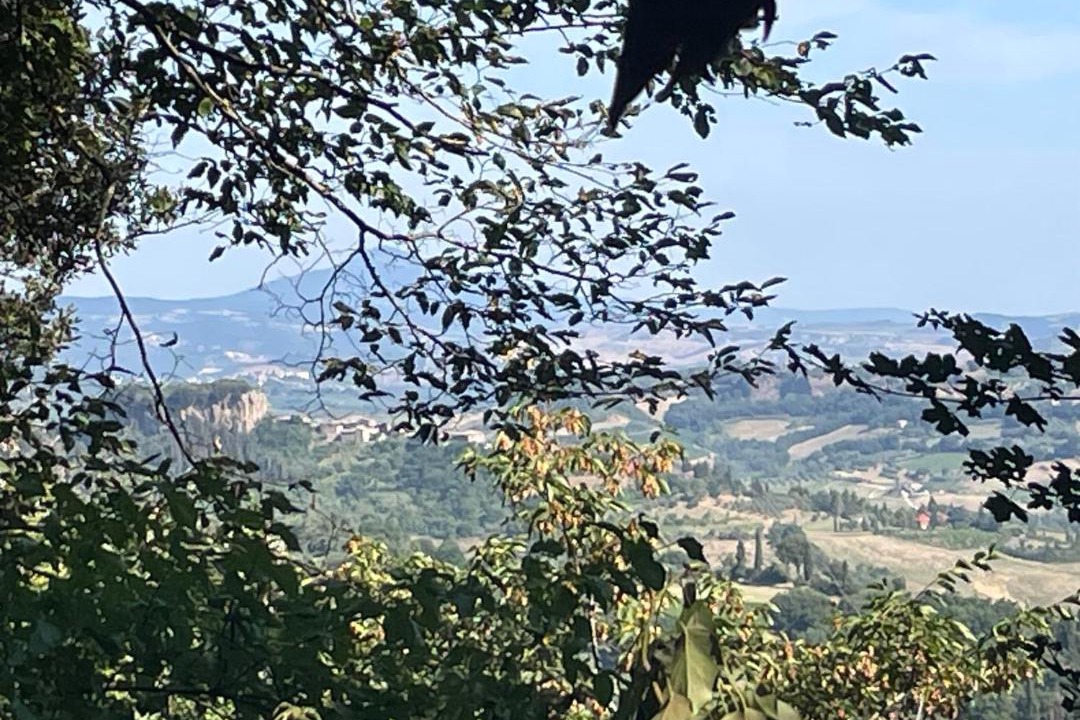 Photo of Others in Porano
