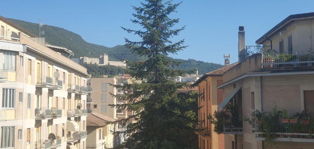Photo of Others in Spoleto