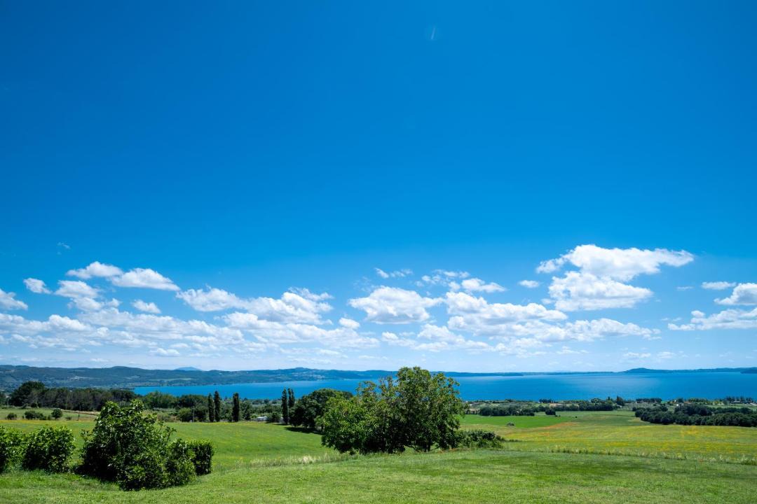 Photo of Others in Bolsena