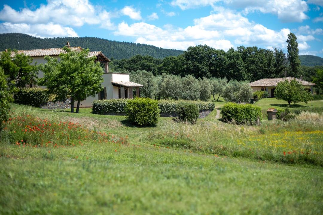 Photo of Others in Bolsena