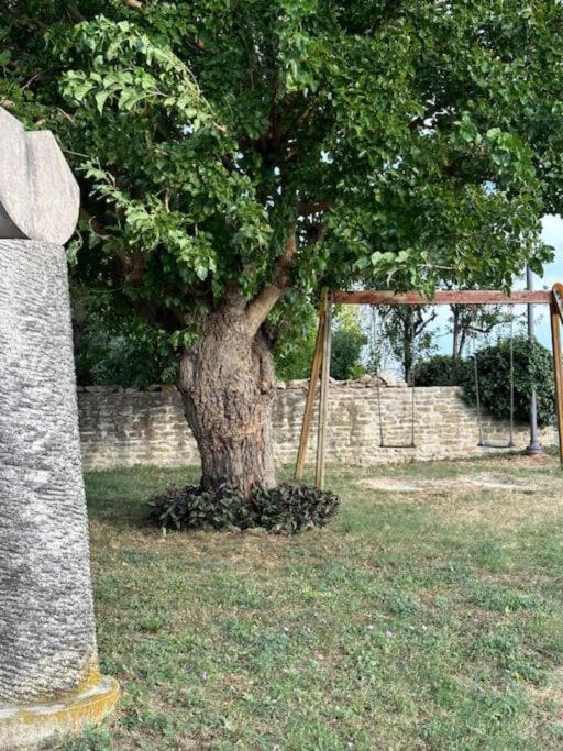 Photo of Others in SantʼIppolito