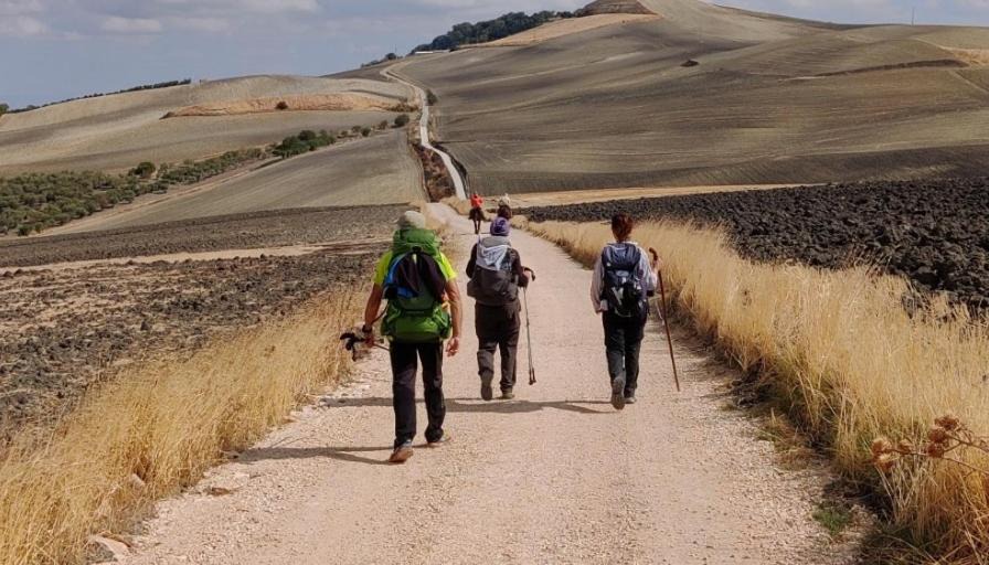 Photo of Others in Stornara