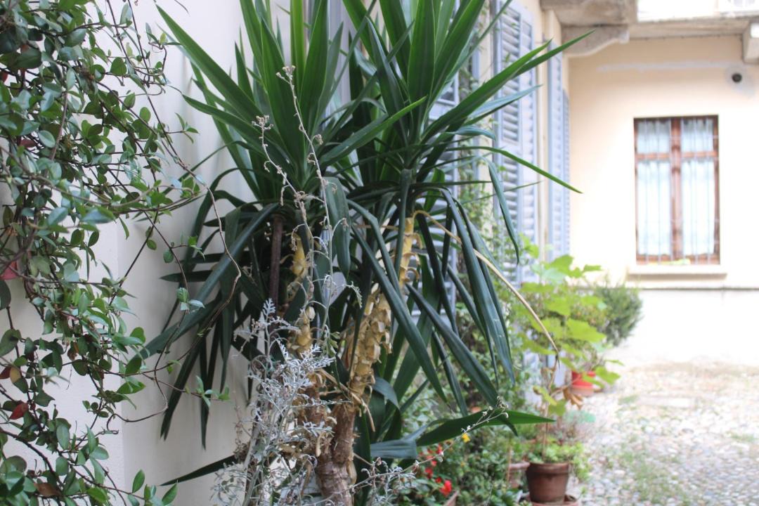 Photo of Others in Pavia