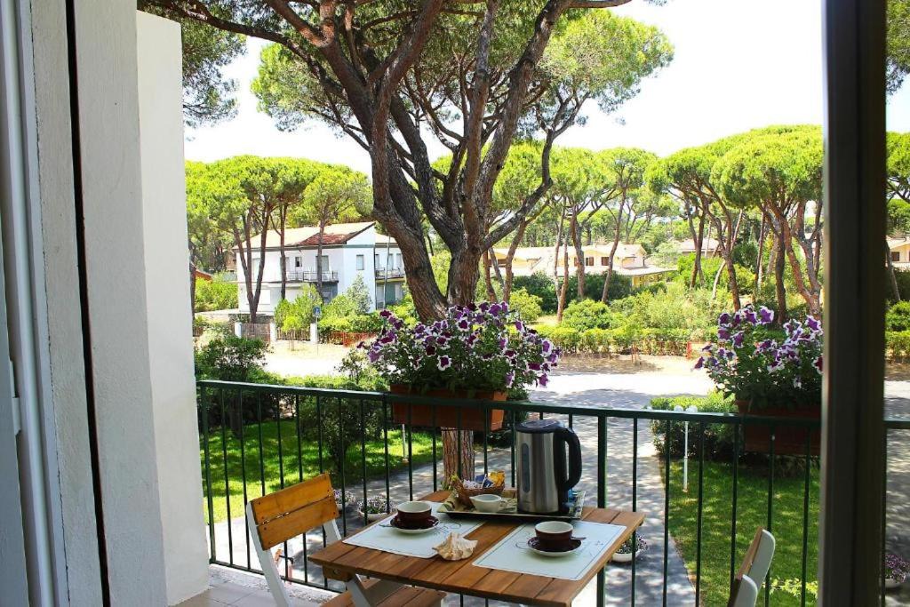 Photo of Patio Balcony in Principina a Mare