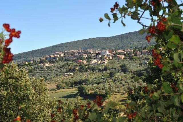 Photo of Others in Montecchio