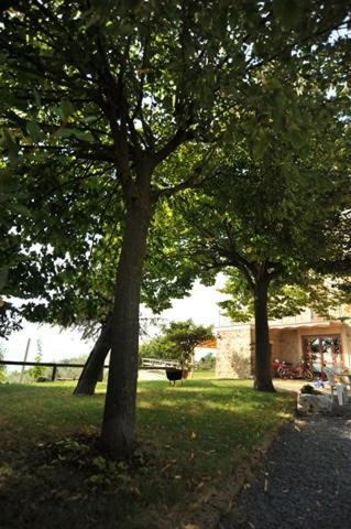 Photo of Others in Montecchio