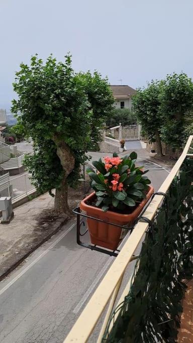 Photo of Others in Montecorvino Pugliano