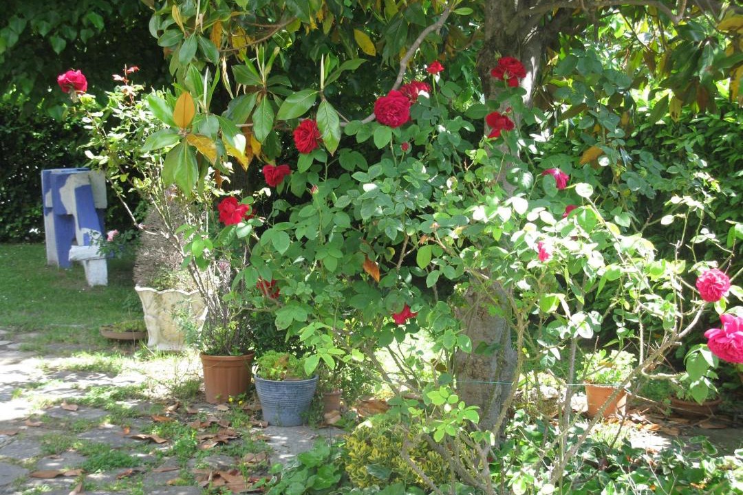 Photo of Others in Bagno di Romagna