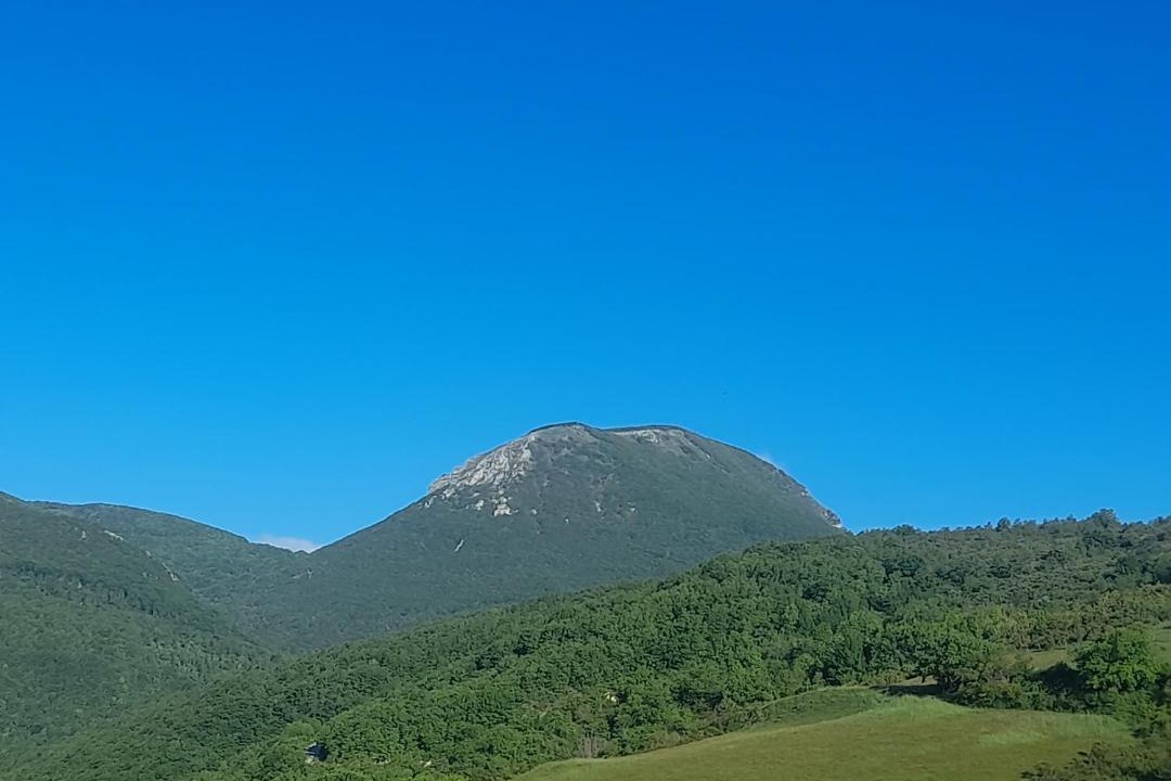 Photo of Others in Chigiano