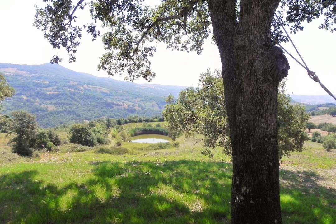 Photo of Others in Montorsaio